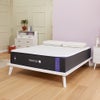 Nectar Twin Premier 13
