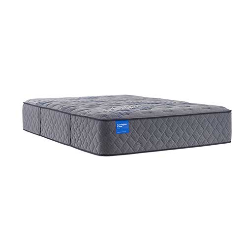 Carrington Chase by Sealy Launceton Hybrid Firm Full Mattress