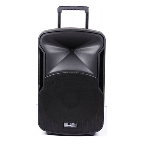 Edison Professional 2000W Wireless Bluetooth Speaker System
